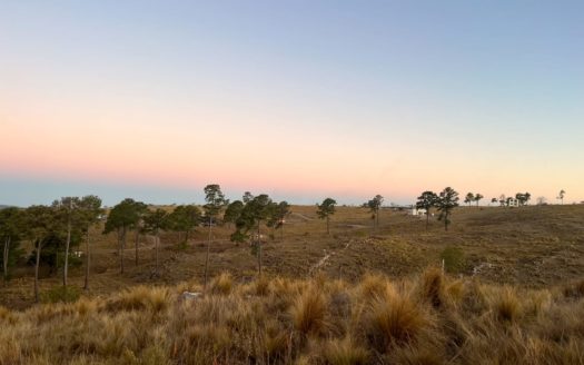 PAMPA ALTA – POTRERO DE GARAY