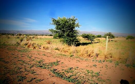 Ultimos 6 Lotes en Santa Teresita