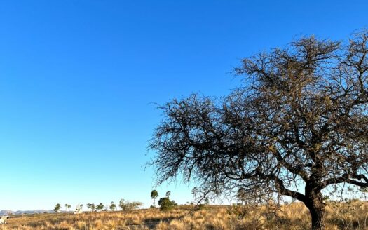 PAMPA ALTA – POTRERO DE GARAY