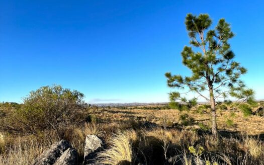 PAMPA ALTA – POTRERO DE GARAY