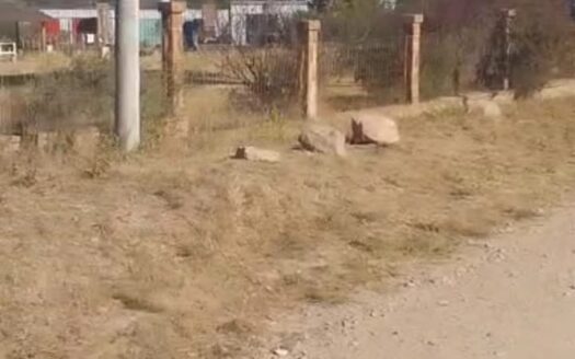 Lotes en VILLA GIARDINO
