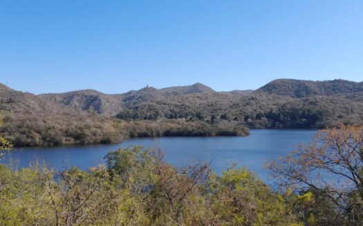 La Quintana – Escritura