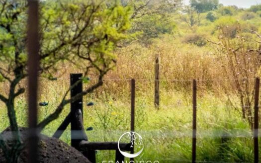 Lote Rio de Los Sauces