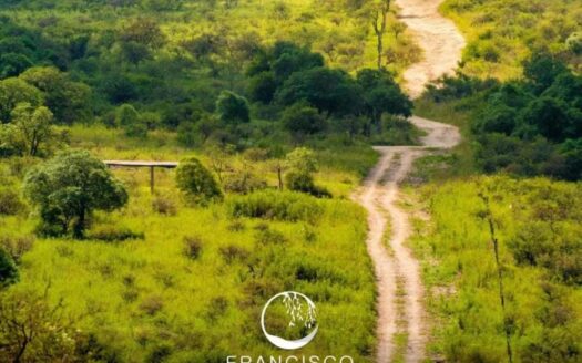 Lote Rio de Los Sauces