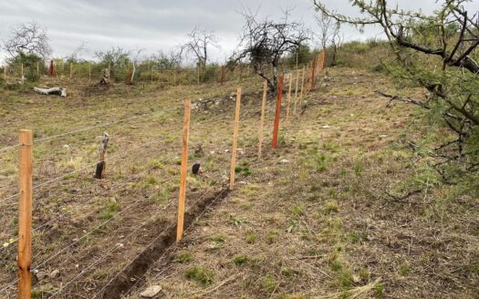Lotes en La Paisanita