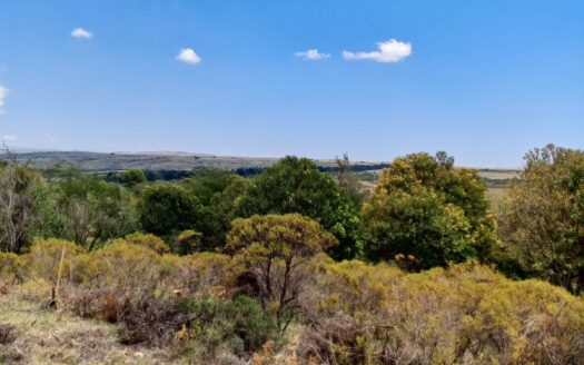 ¡Lotes en VILLA GIARDINO! 🔥Reserva tú visita!